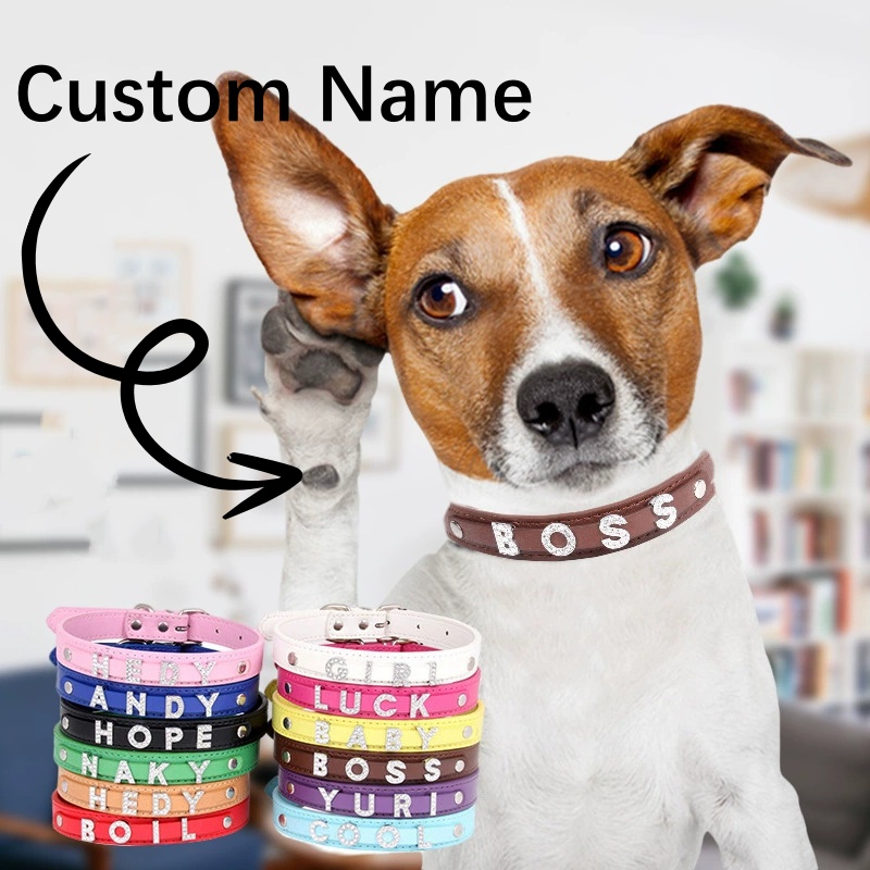 Personalized Name Pet Collar Adjustable Gift for Your Furry Friend