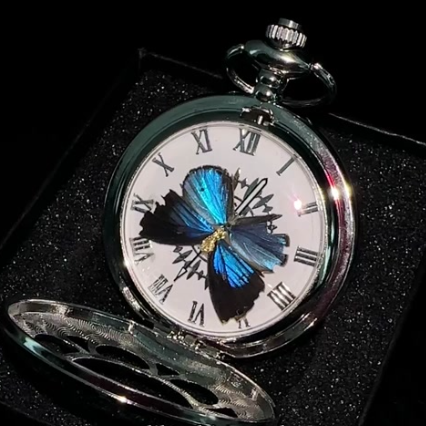 Vintage Inspired Butterfly Spinner Locket Pocket Watch Pendant Necklace