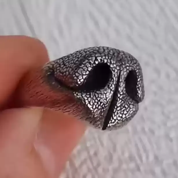 Dog Nose Ring DIY Ring Jewelry Opening Adjustable Creative Personalized Gift for Pet Lover