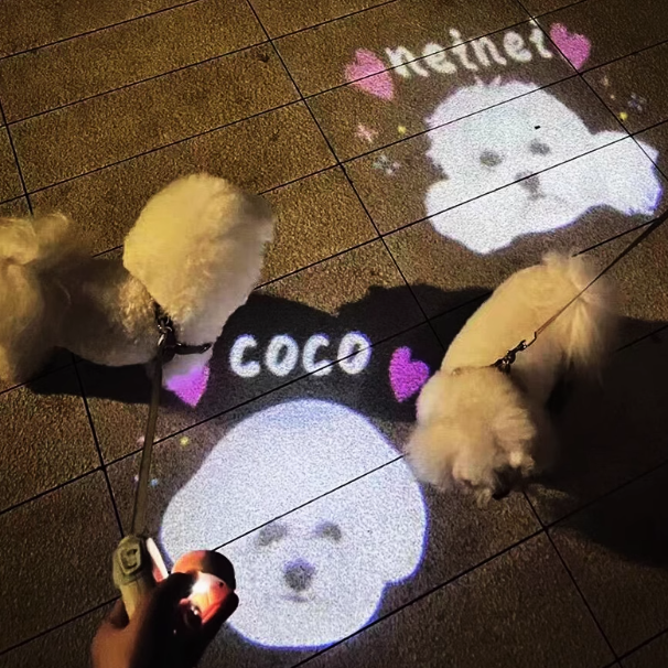 Customized Pet Social Projection Lamp Collar Tag Led Lamp Night Anti-Lost Dog Walking Lamp Pet Lamp