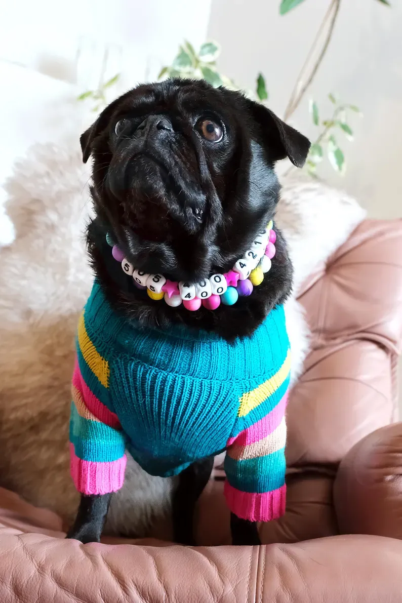 Custom Beaded Dog Necklace Friendship Collar Custom Beaded Dog Necklace for Pet