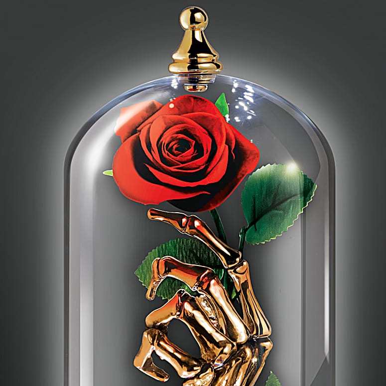 Illuminated Rose Dome Personalized With Your Two Names