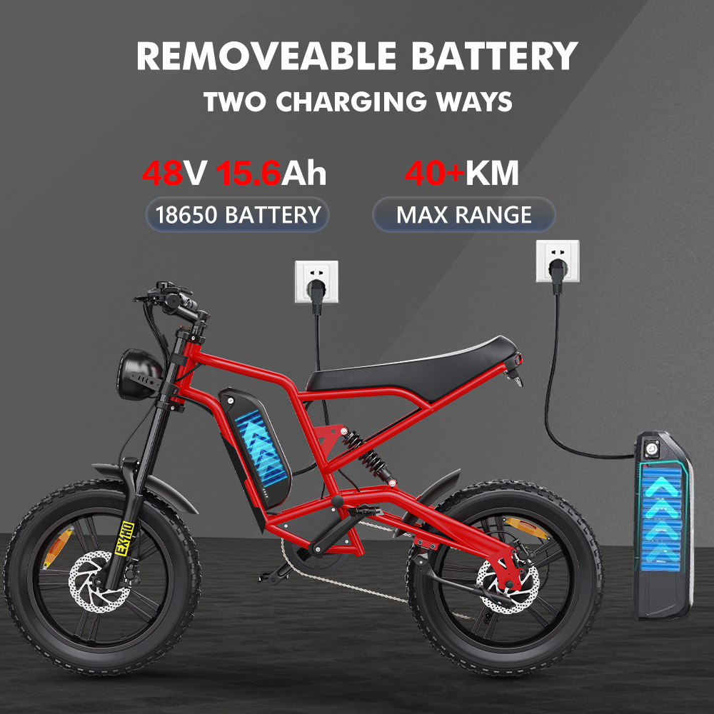 Hidoes B6 20 inch fat tire electric bike 1200W for adults with battery removeable design. You can charge it with two ways.