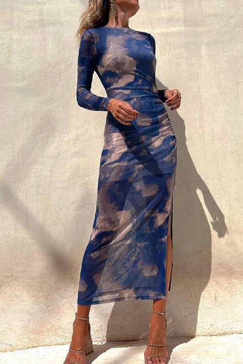 Kathiadress Mesh  Printed Slim Fit Stretch Long Sleeve Dress