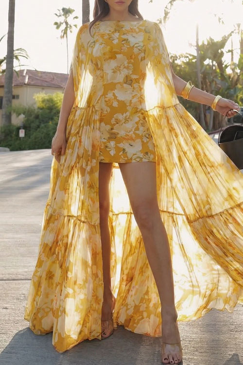 Kathiadress Chiffon Printed Multi-Layer Dress