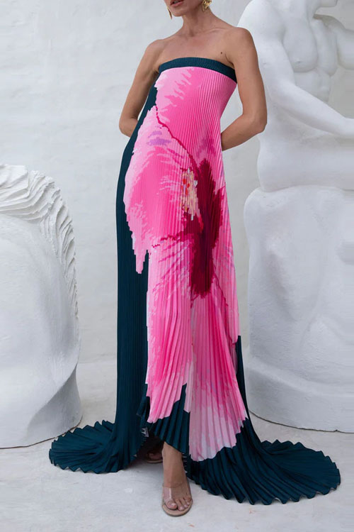 Kathiadress Pleated Positioning Printed Bandeau Swing Dress