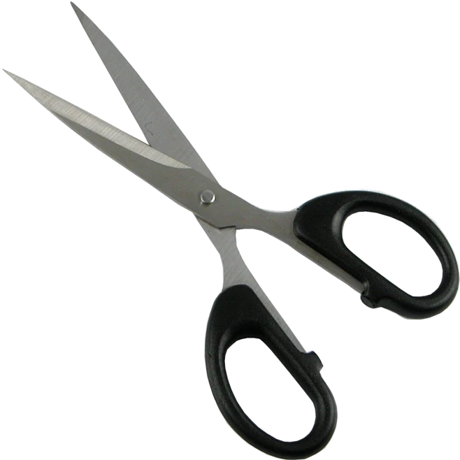 实物素材内的花瓣采集图片-♛王木木