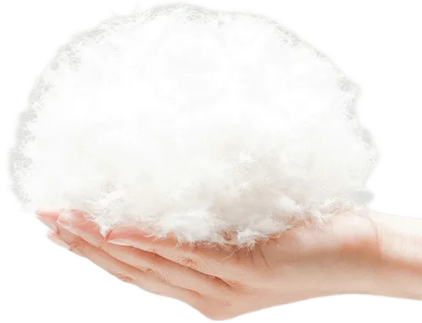 羽绒棉花鸭绒png