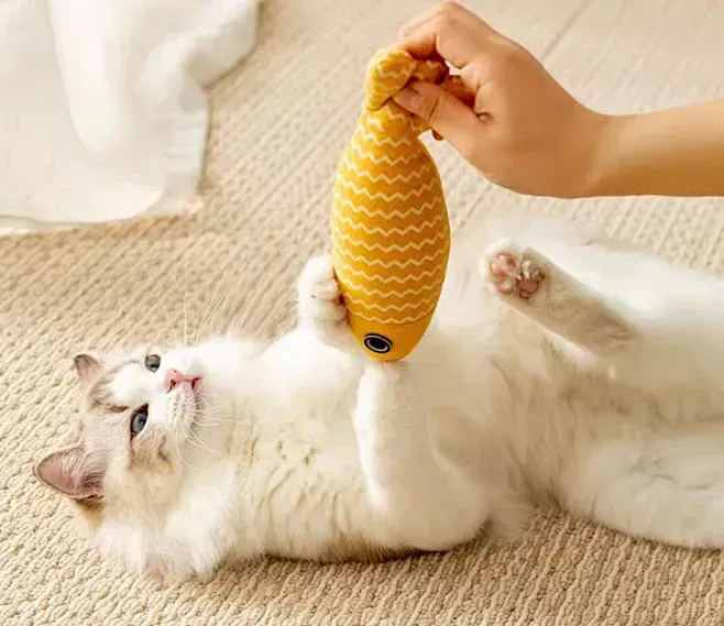猫薄荷鱼猫玩具自嗨解闷仿真鱼小猫幼猫磨牙逗猫棒宠物猫咪用品-tmall.com天猫