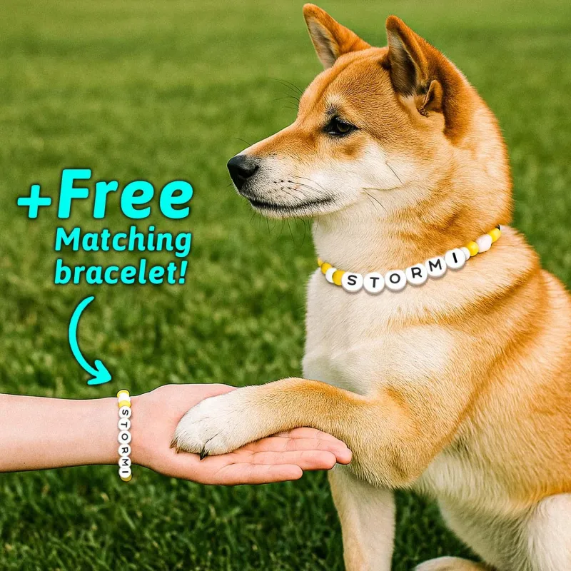 Personalized Pet Name Necklace – Comes with a Free Matching Bracelet- mikcustom.com