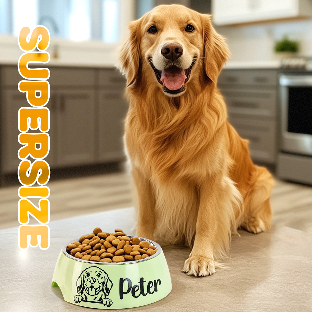 Personalized Pet Bowl Stainless Steel Dog Food Water Bowl Feeding Supplies Gift for Pet Owner- mikcustom.com