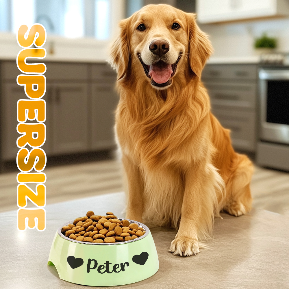 Personalized Pet Water Bowl Stainless Steel Pet Bowl Feeding Supplies Gift for Pet Lovers- mikcustom.com
