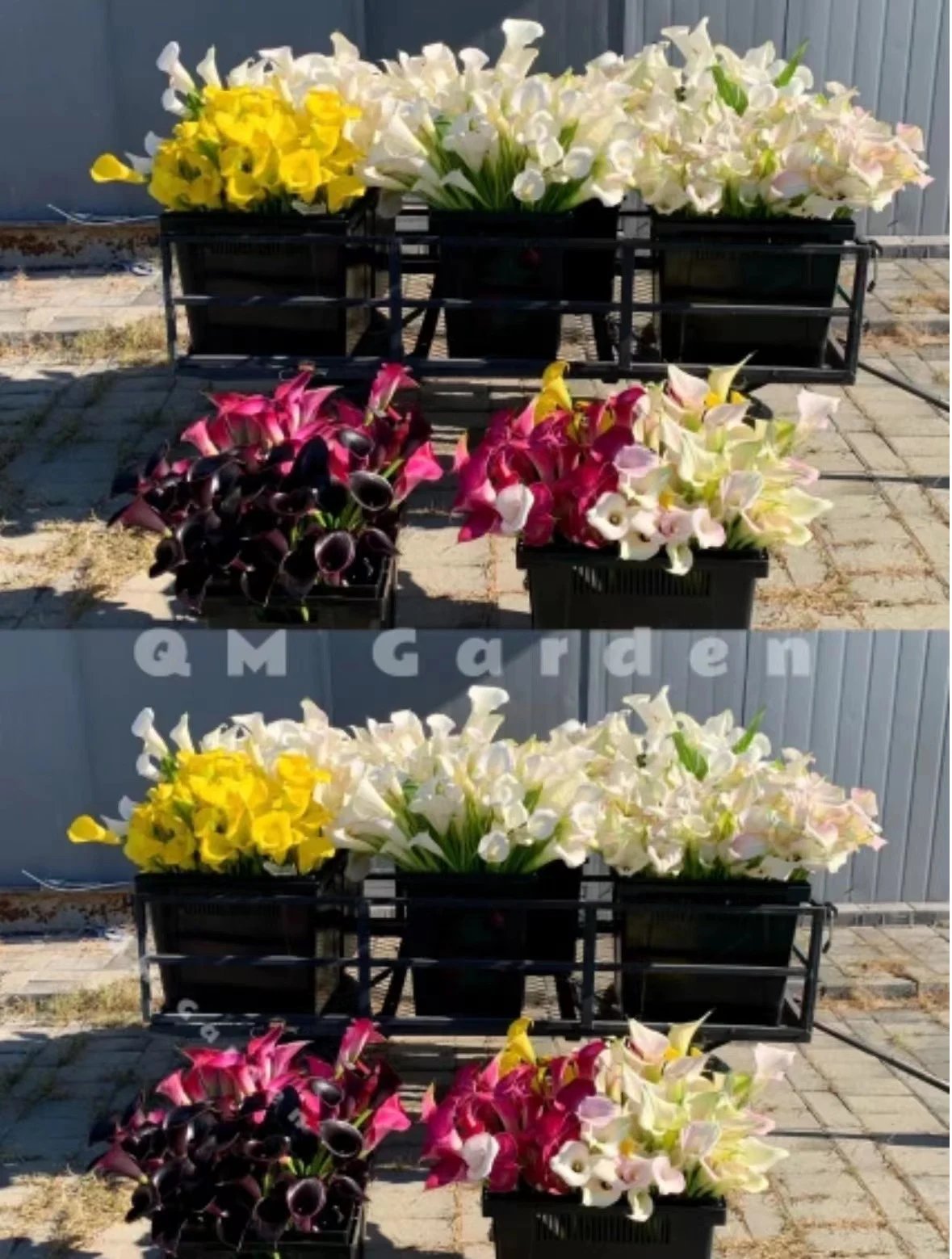 🔥Hot Sale 49% OFF- Artificial Calla Lily Silk Flowers💐