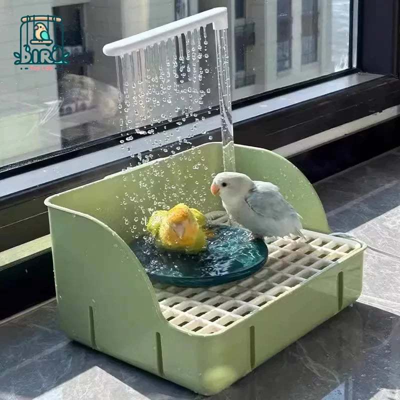 Parrot Automatic Bathing Pool