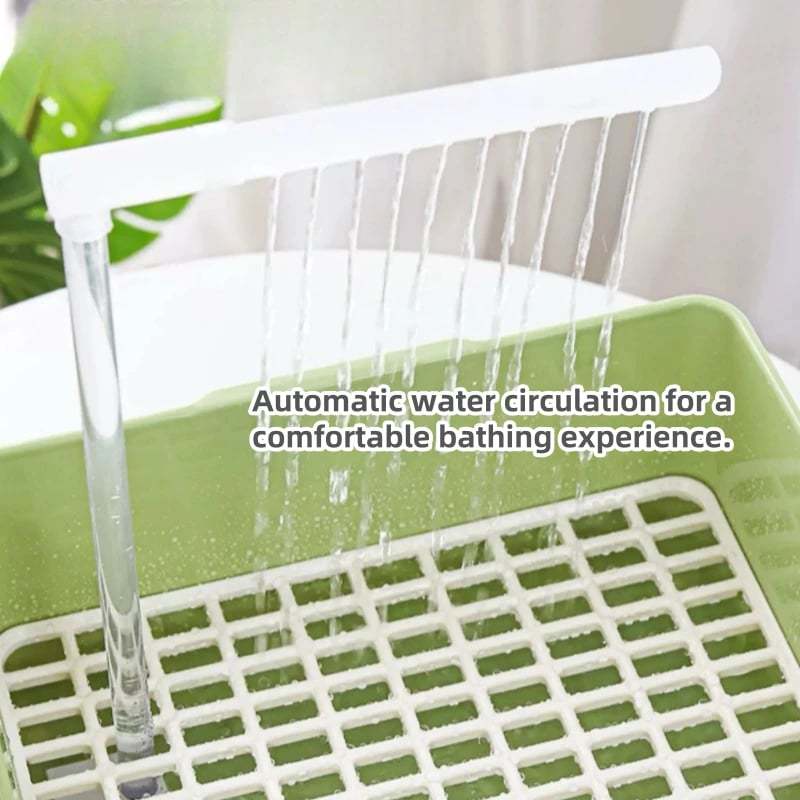 Parrot Automatic Bathing Pool