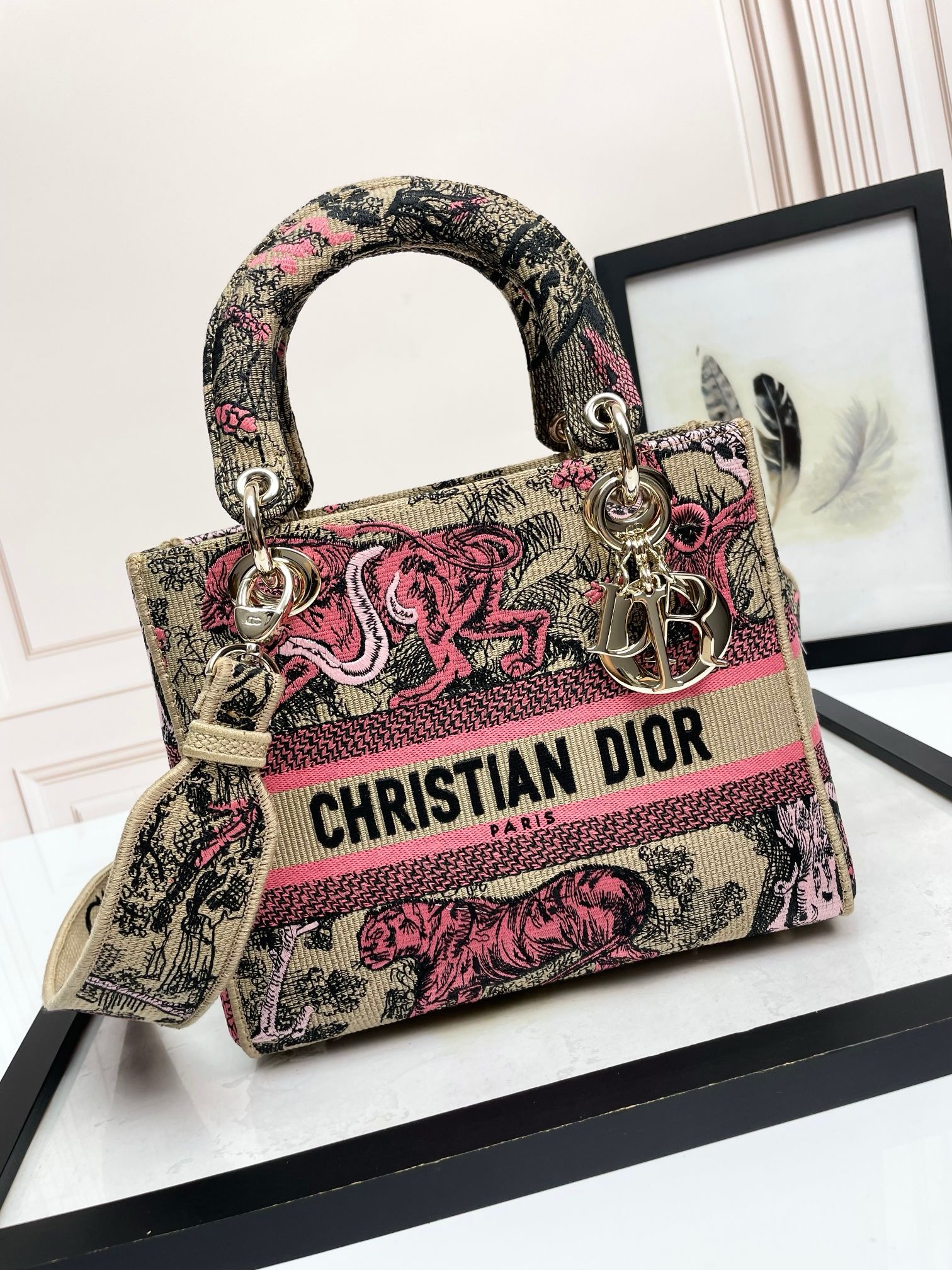 Christian Dior Medium Lady Dior Bag