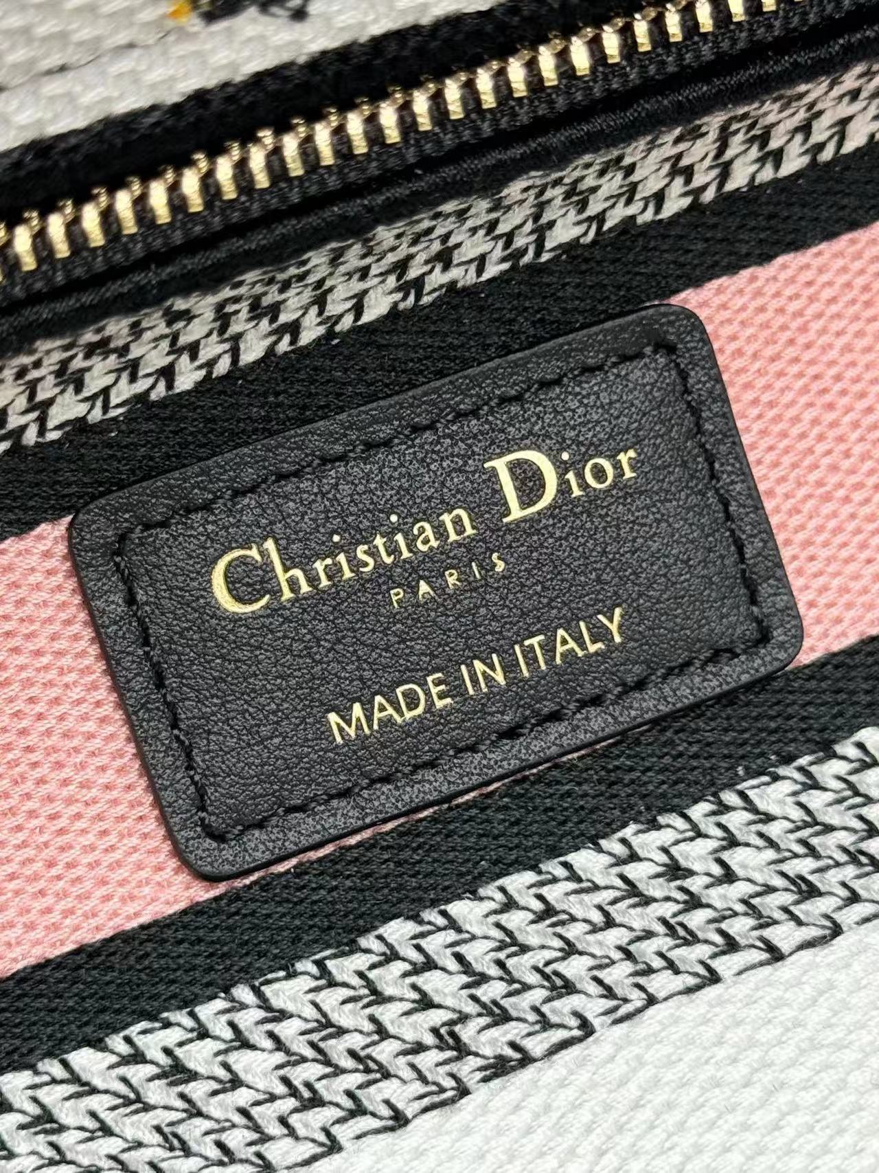 Christian Dior Medium Lady Dior Bag