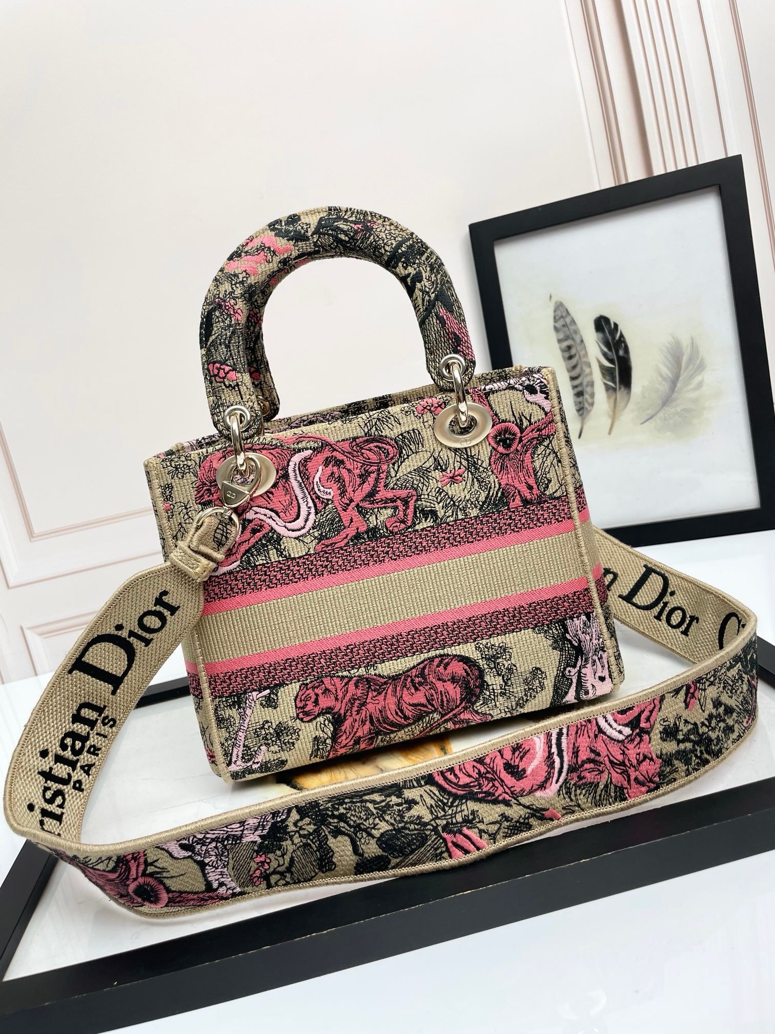 Christian Dior Medium Lady Dior Bag