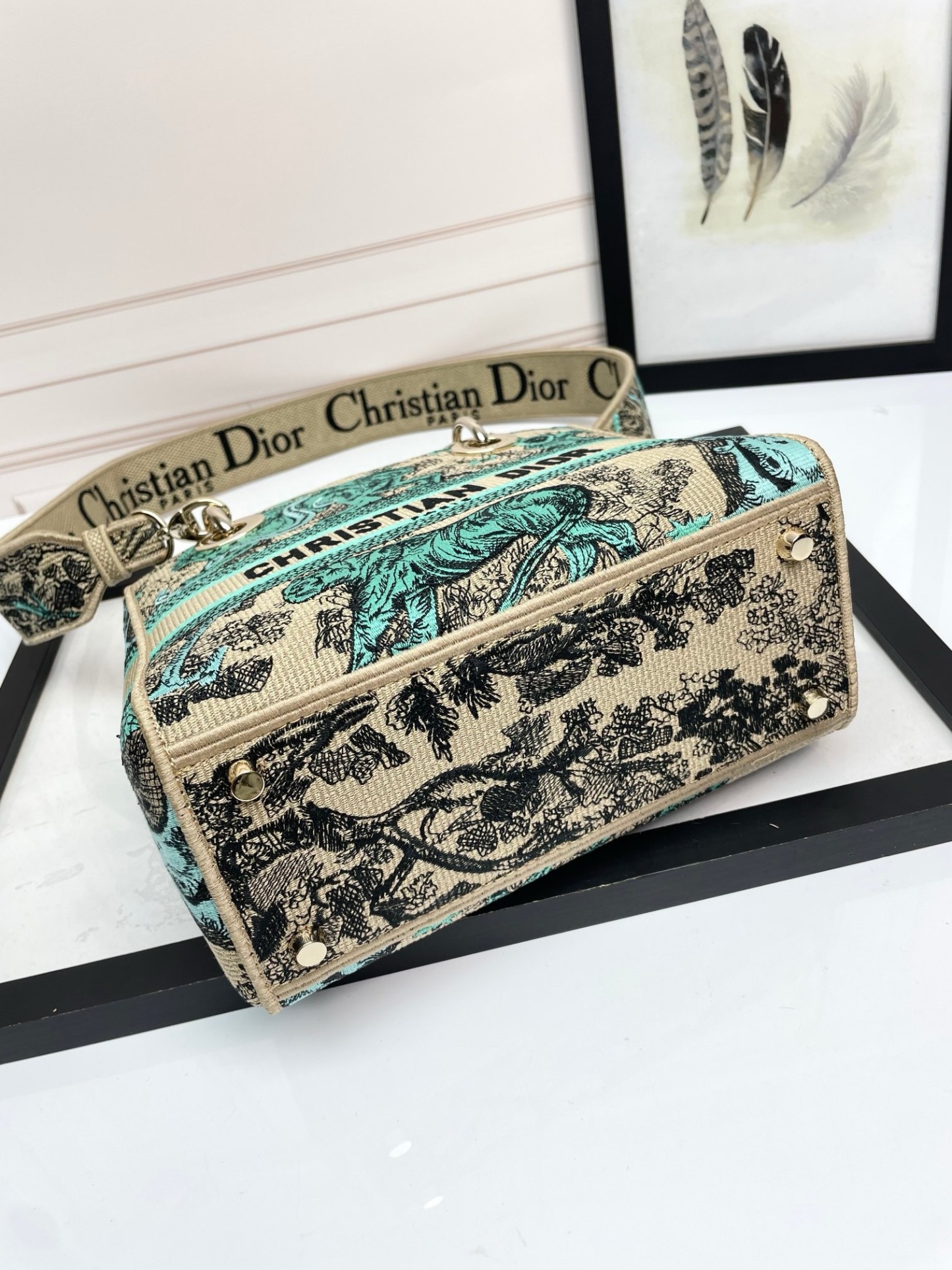 Christian Dior Medium Lady Dior Bag