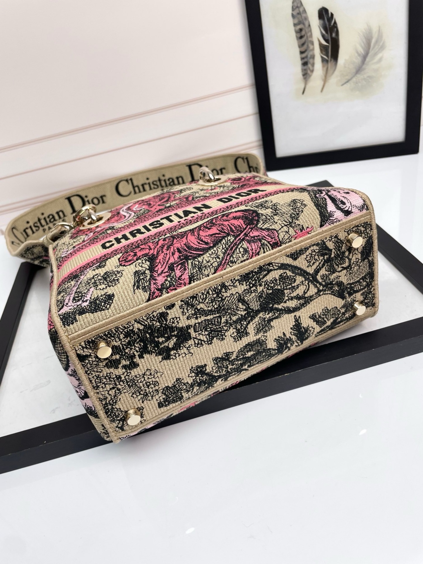 Christian Dior Medium Lady Dior Bag