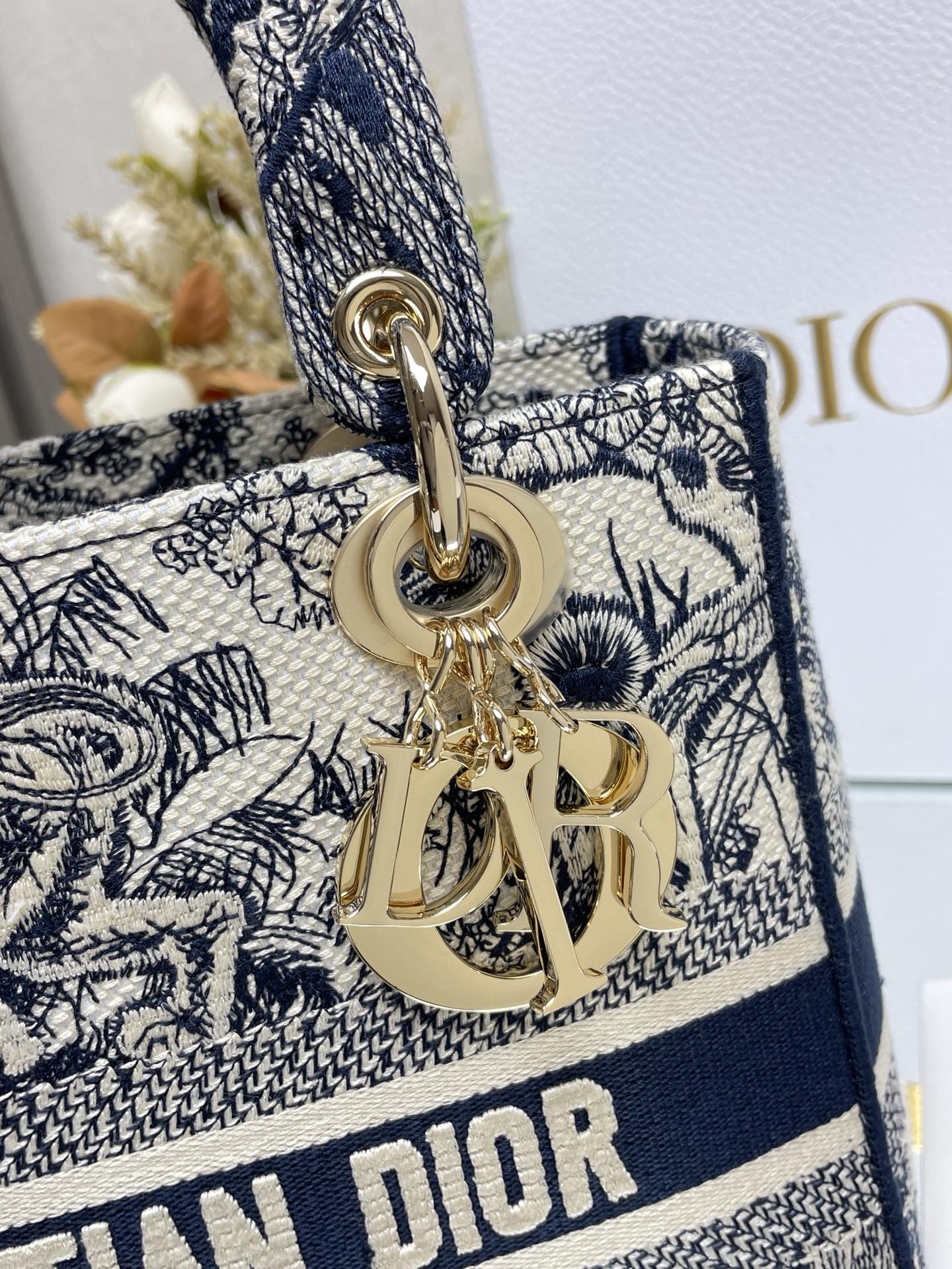 Christian Dior Medium Lady Dior Bag