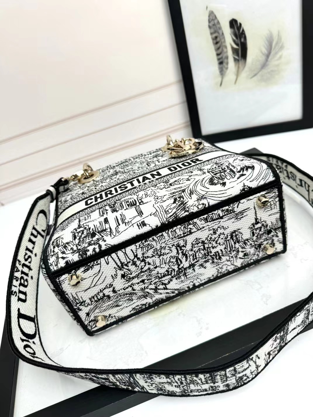 Christian Dior Medium Lady Dior Bag