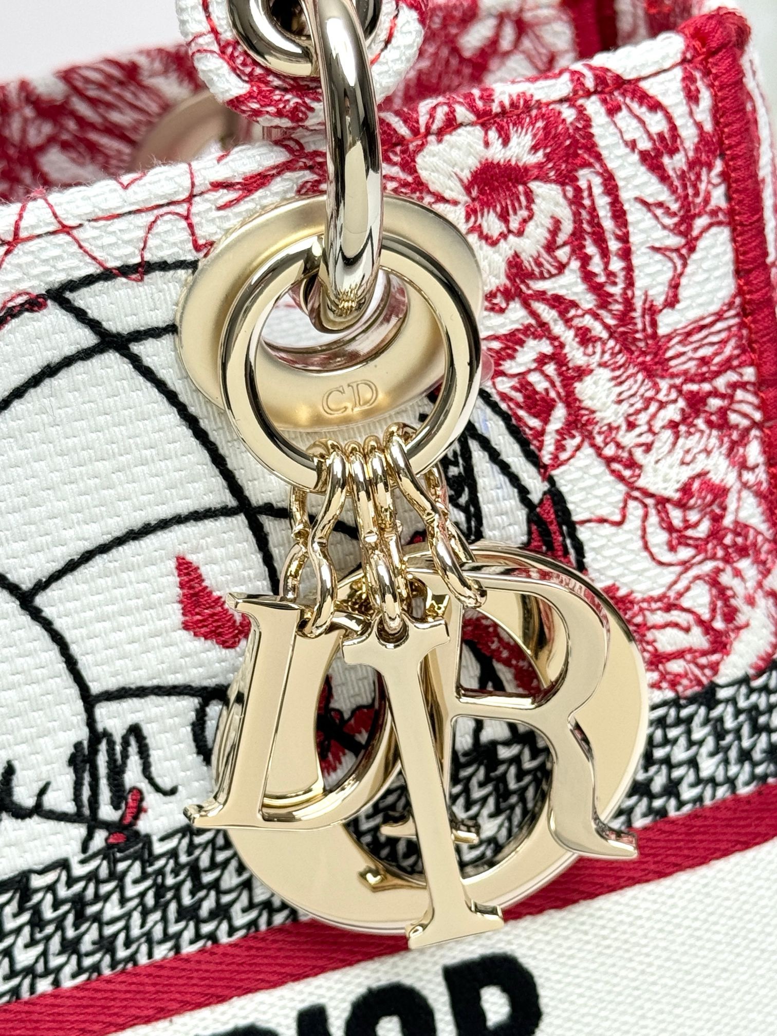 Christian Dior Medium Lady Dior Bag