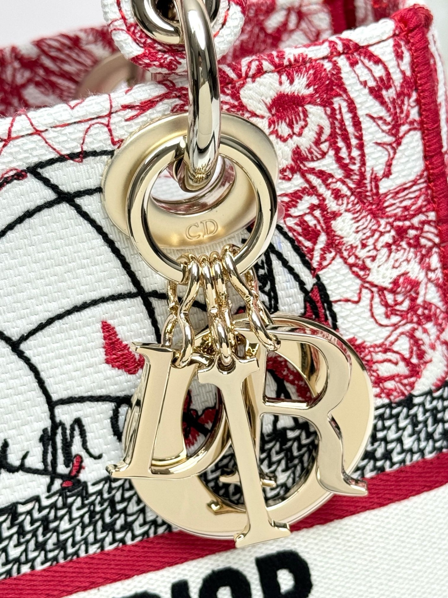 Christian Dior Medium Lady Dior Bag