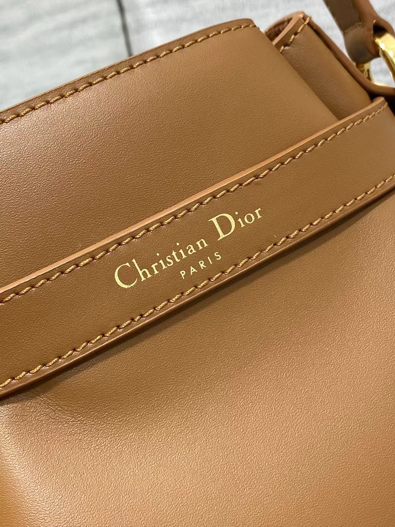 Christian Dior Medium C'est Dior Bag