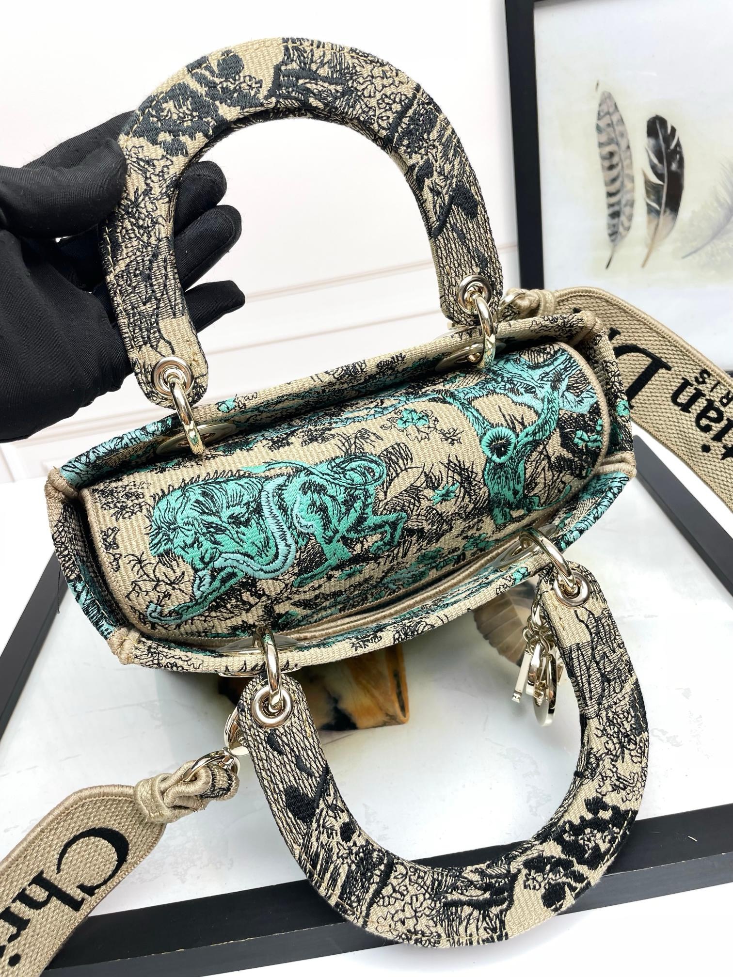 Christian Dior Medium Lady Dior Bag