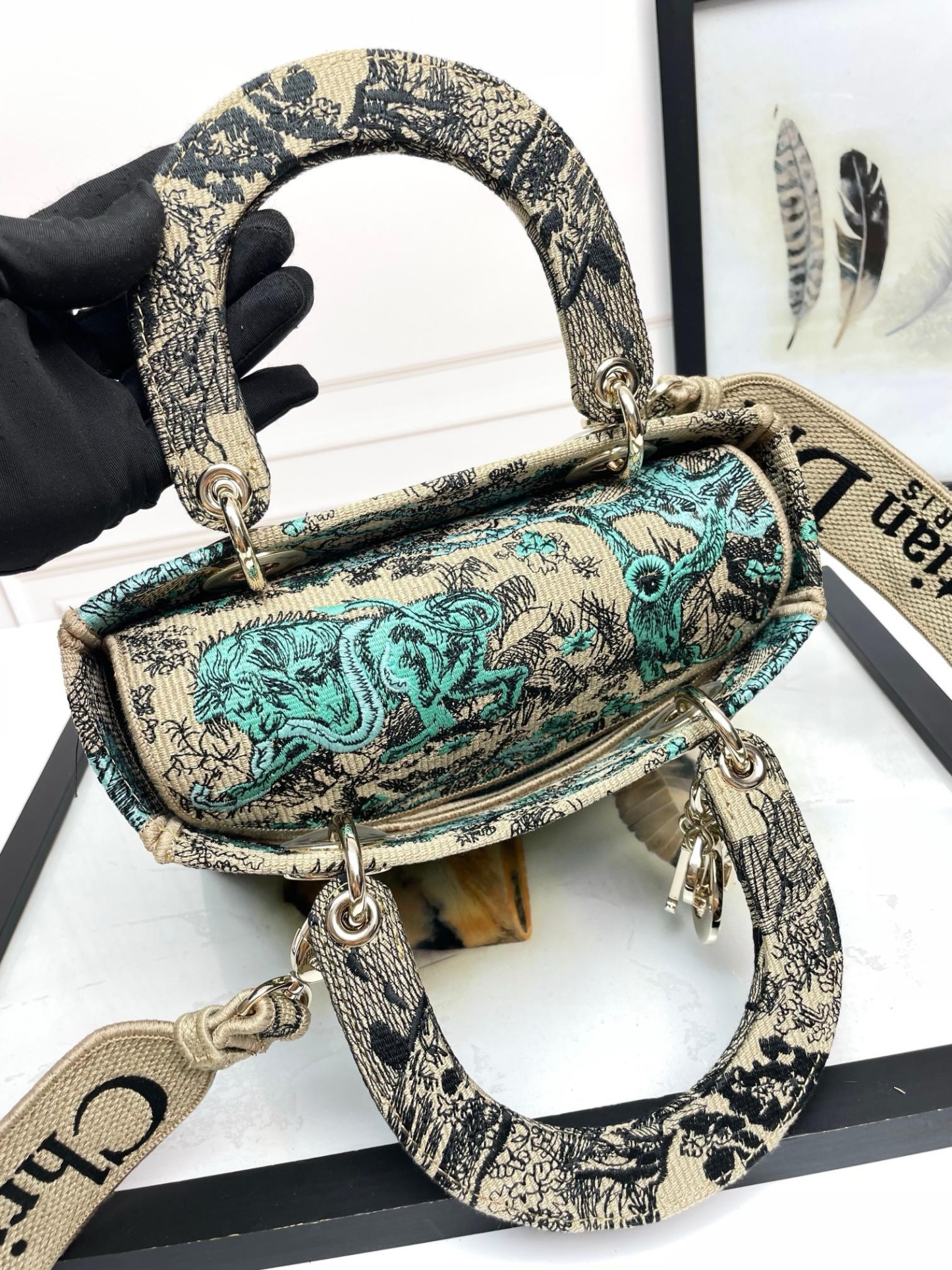 Christian Dior Medium Lady Dior Bag