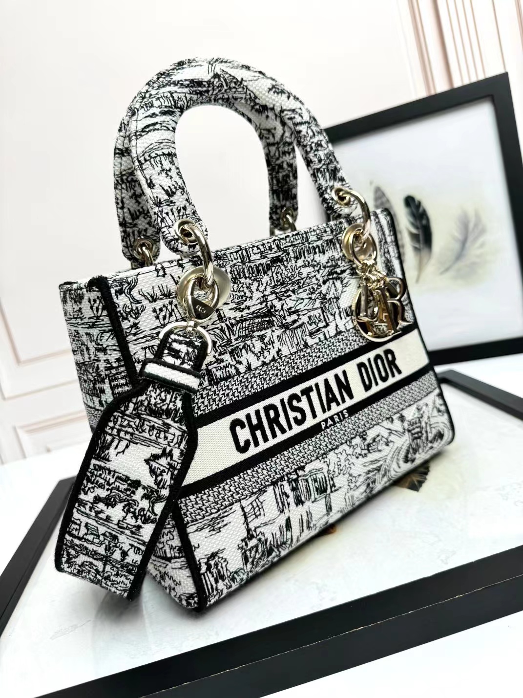 Christian Dior Medium Lady Dior Bag