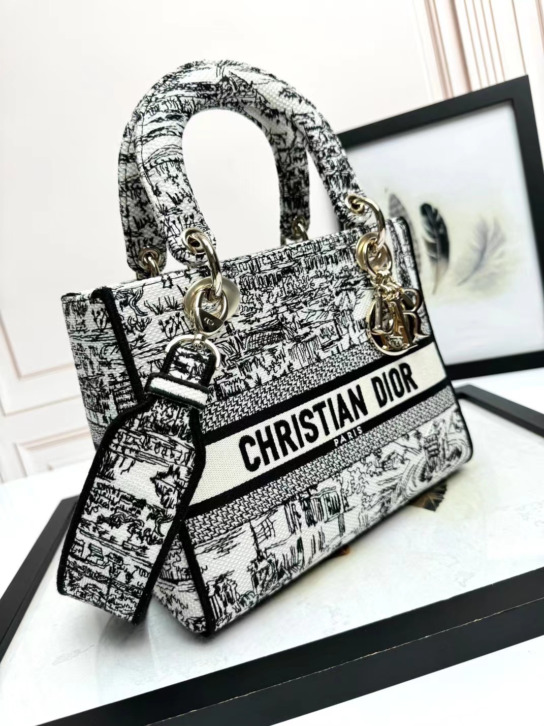 Christian Dior Medium Lady Dior Bag