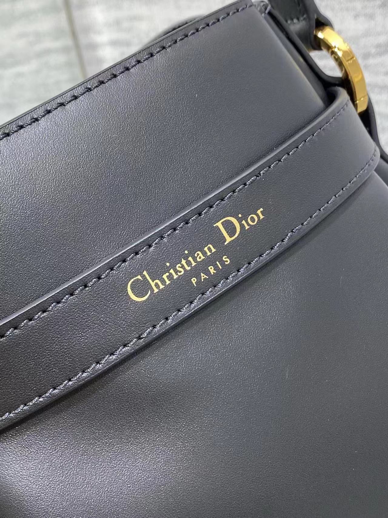 Christian Dior Medium C'est Dior Bag