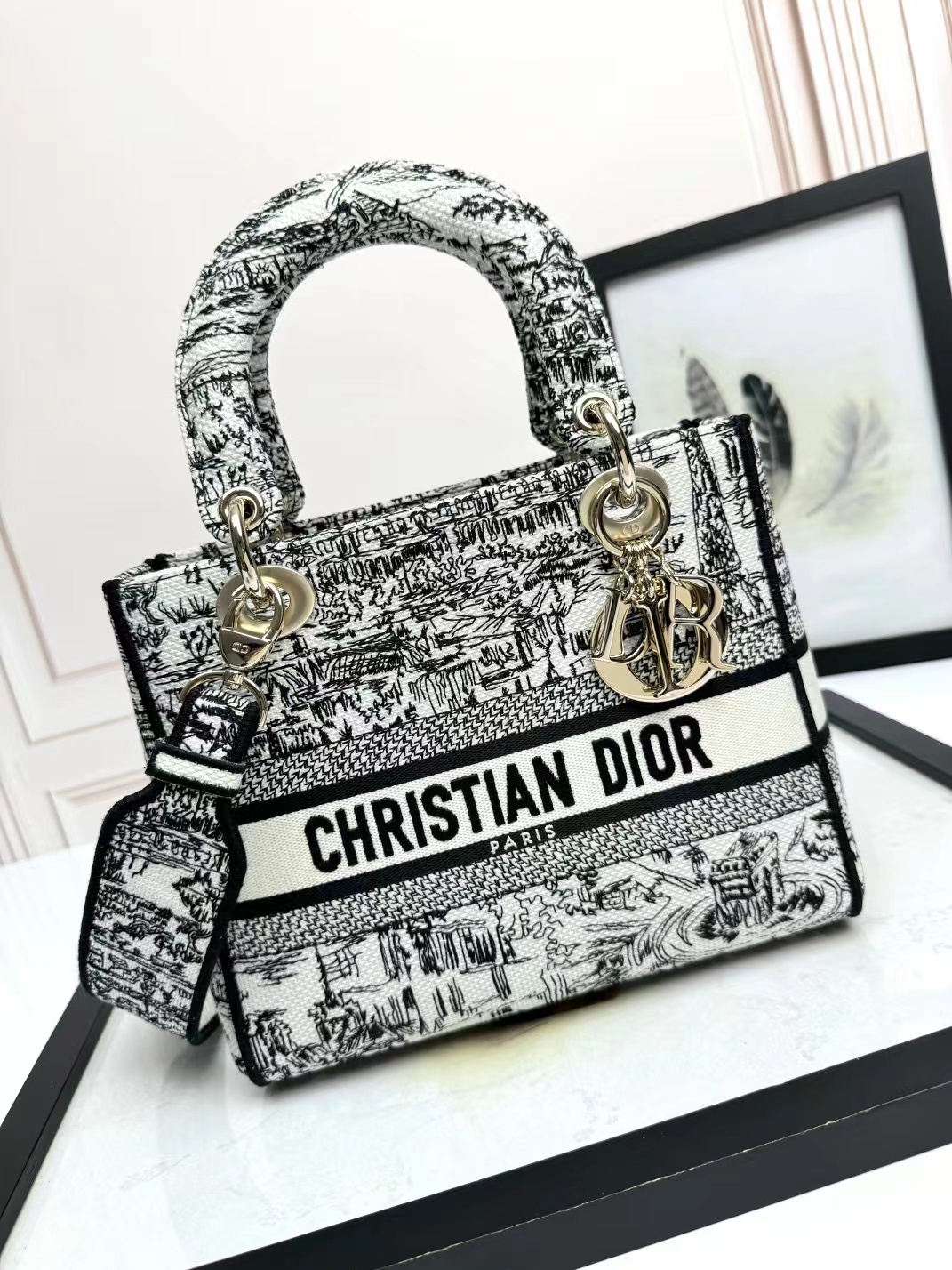 Christian Dior Medium Lady Dior Bag