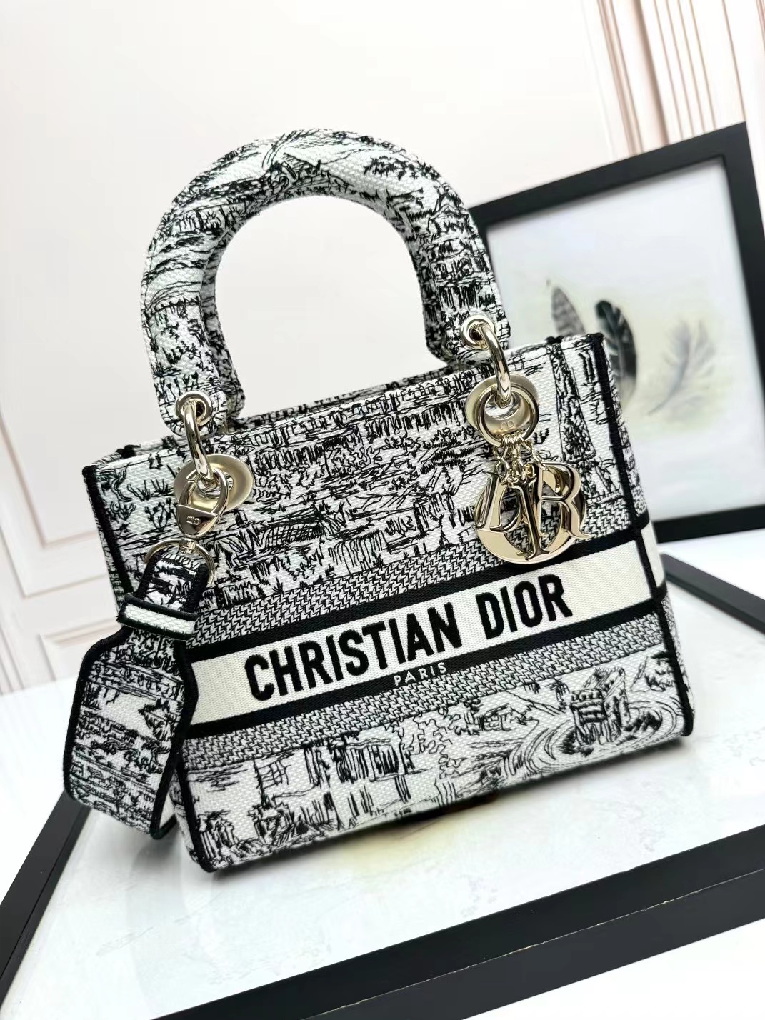 Christian Dior Medium Lady Dior Bag