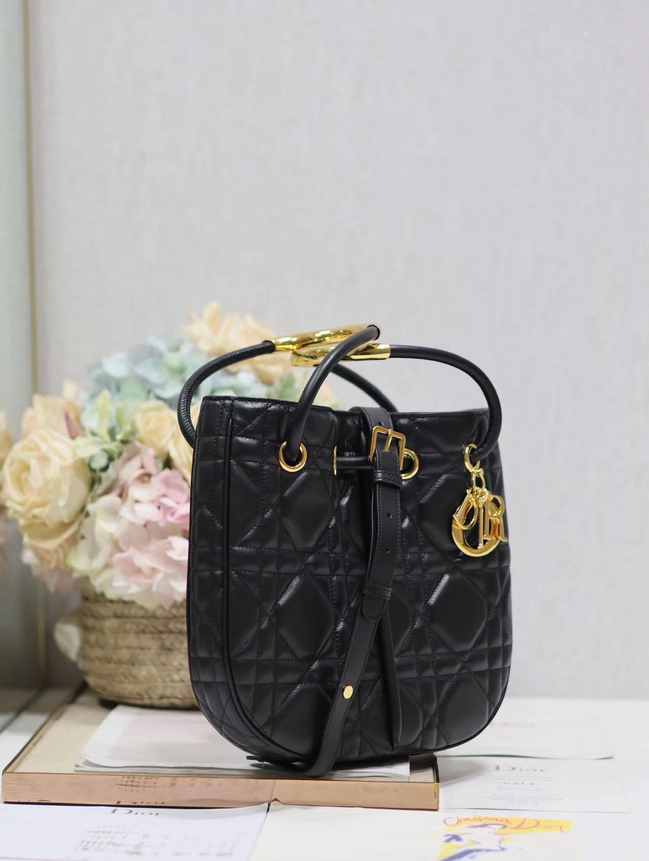 Christian Dior Medium Dior Nolita Bag