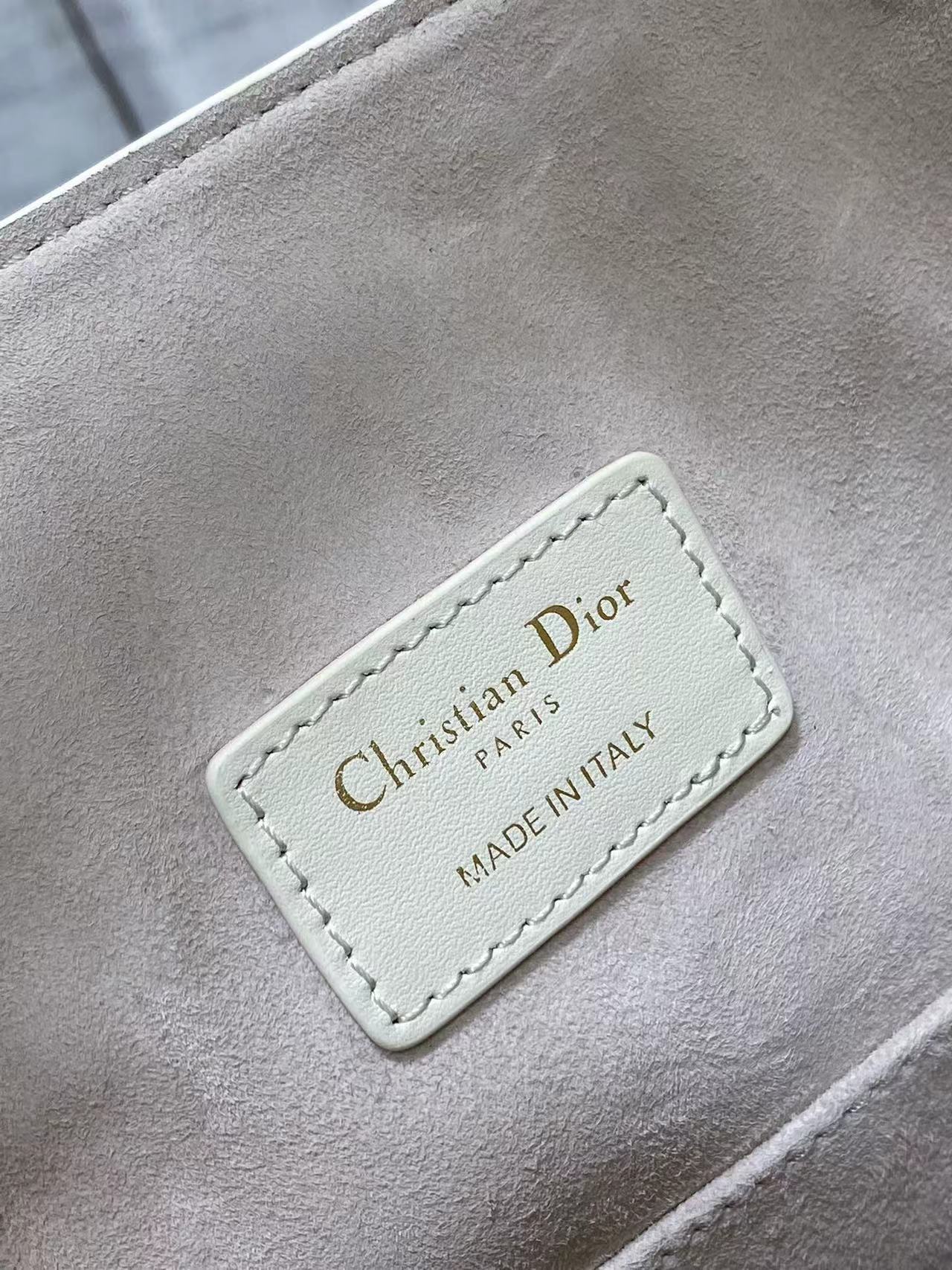 Christian Dior Medium Cest Dior Bag