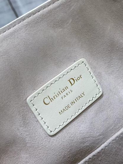 Christian Dior Medium Cest Dior Bag