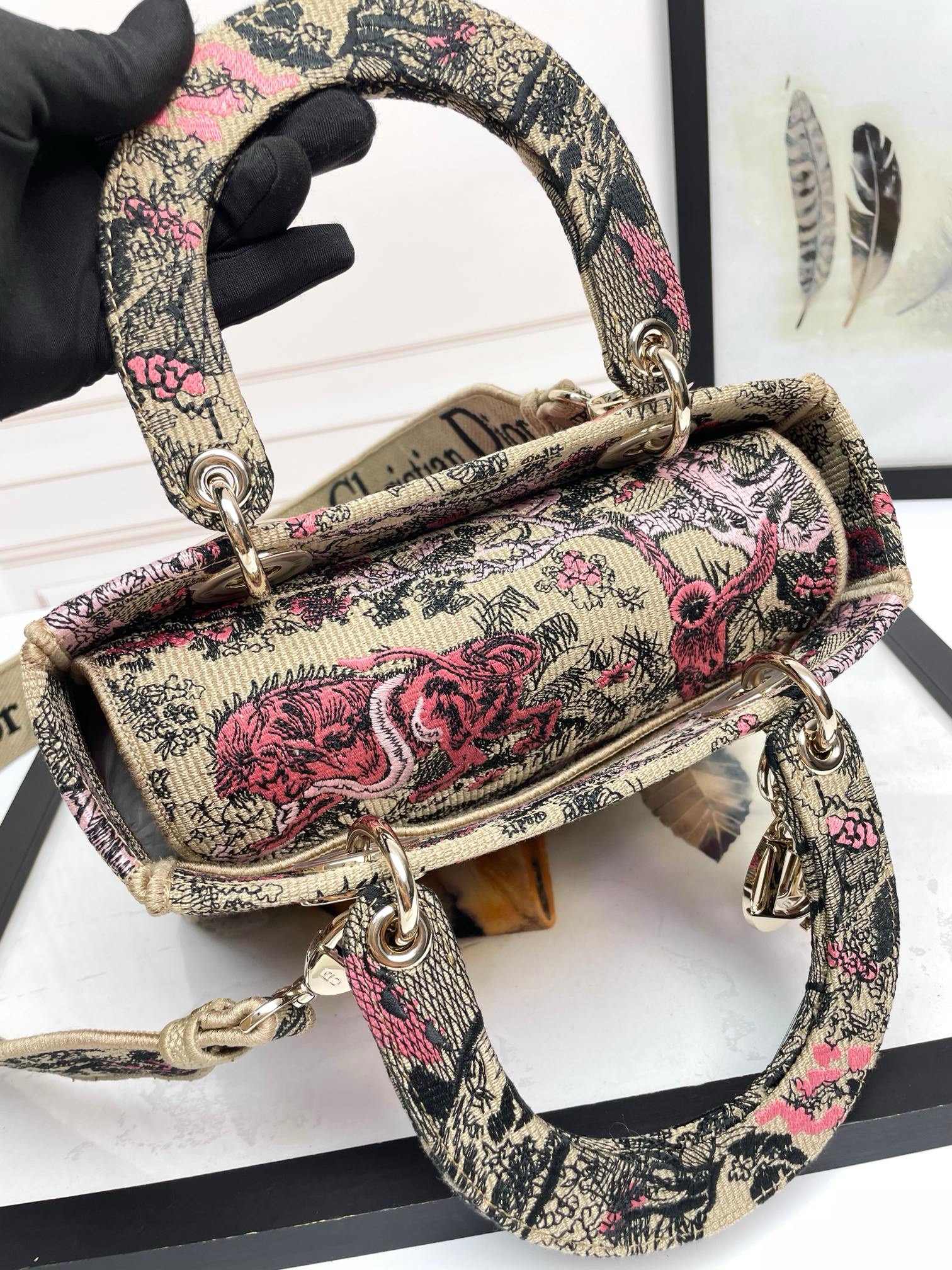 Christian Dior Medium Lady Dior Bag