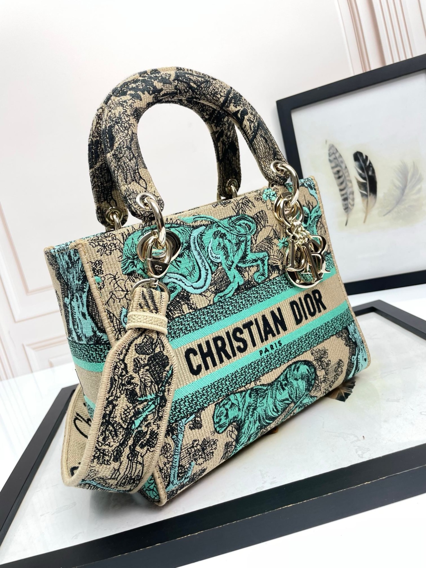Christian Dior Medium Lady Dior Bag
