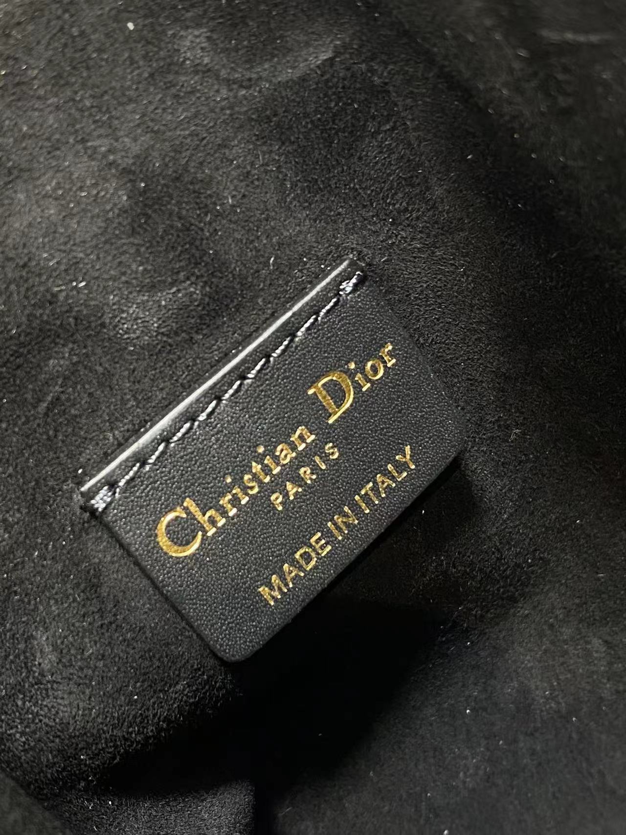 Christian Dior Small C'est Dior Bag