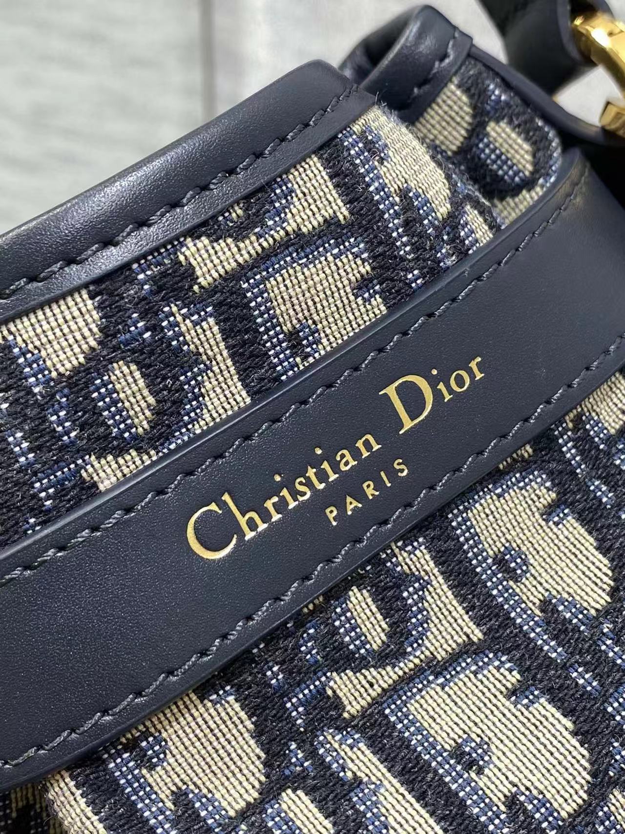 Christian Dior Small C'est Dior Bag