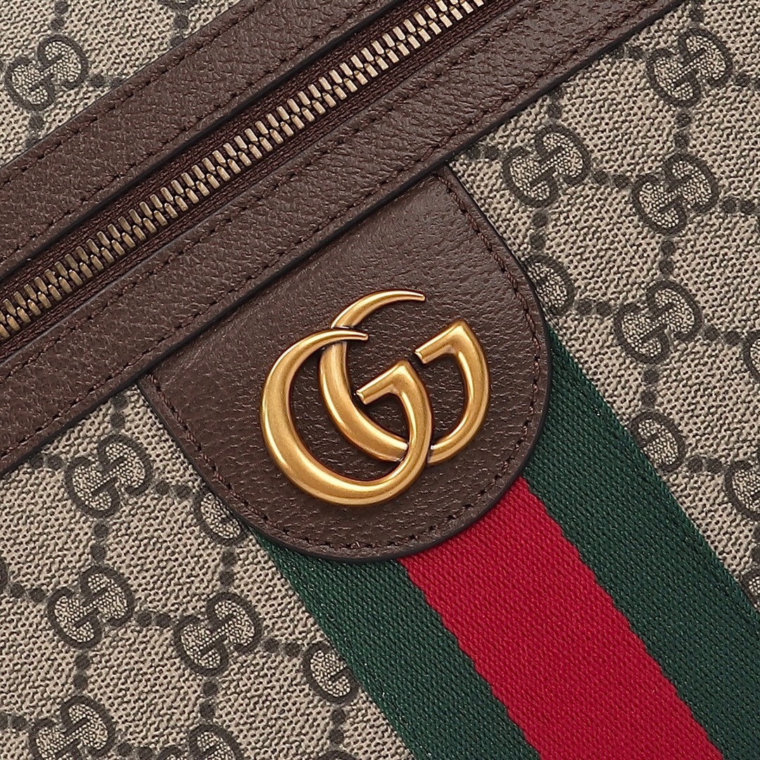 Ophidia series medium messenger bag