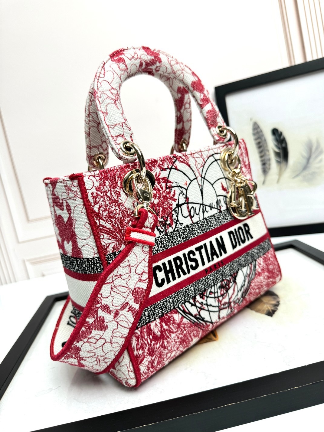 Christian Dior Medium Lady Dior Bag