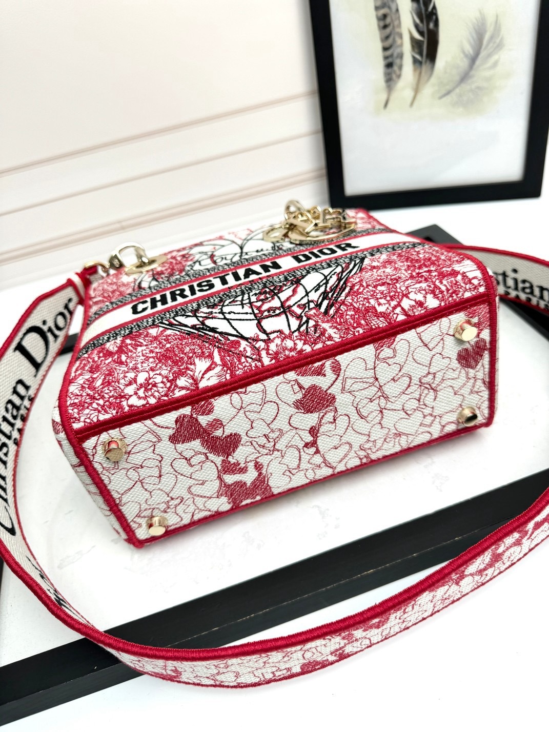 Christian Dior Medium Lady Dior Bag