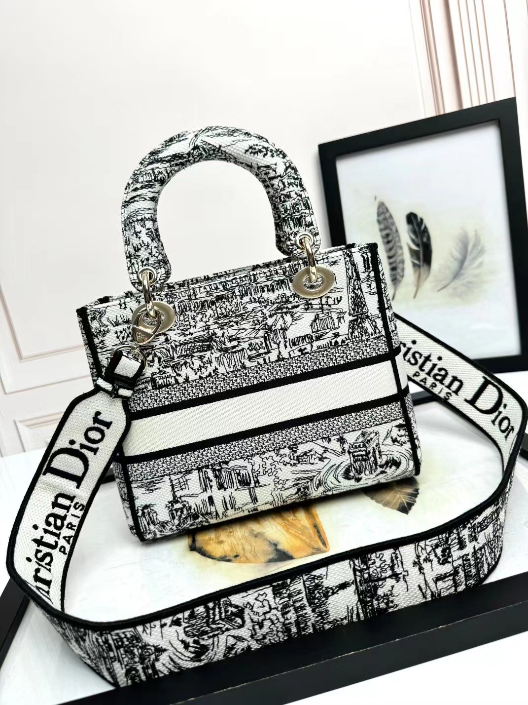 Christian Dior Medium Lady Dior Bag