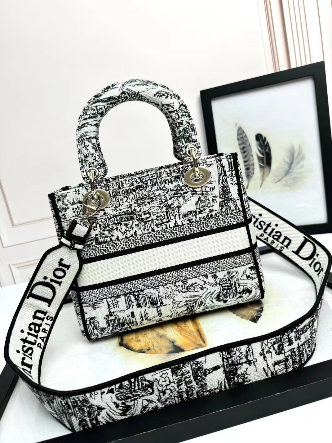 Christian Dior Medium Lady Dior Bag