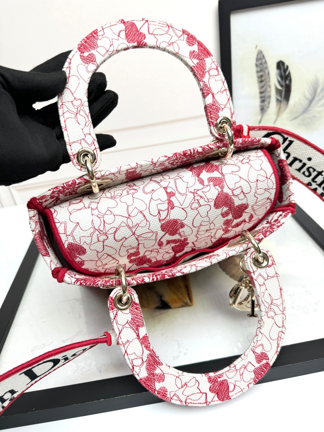 Christian Dior Medium Lady Dior Bag