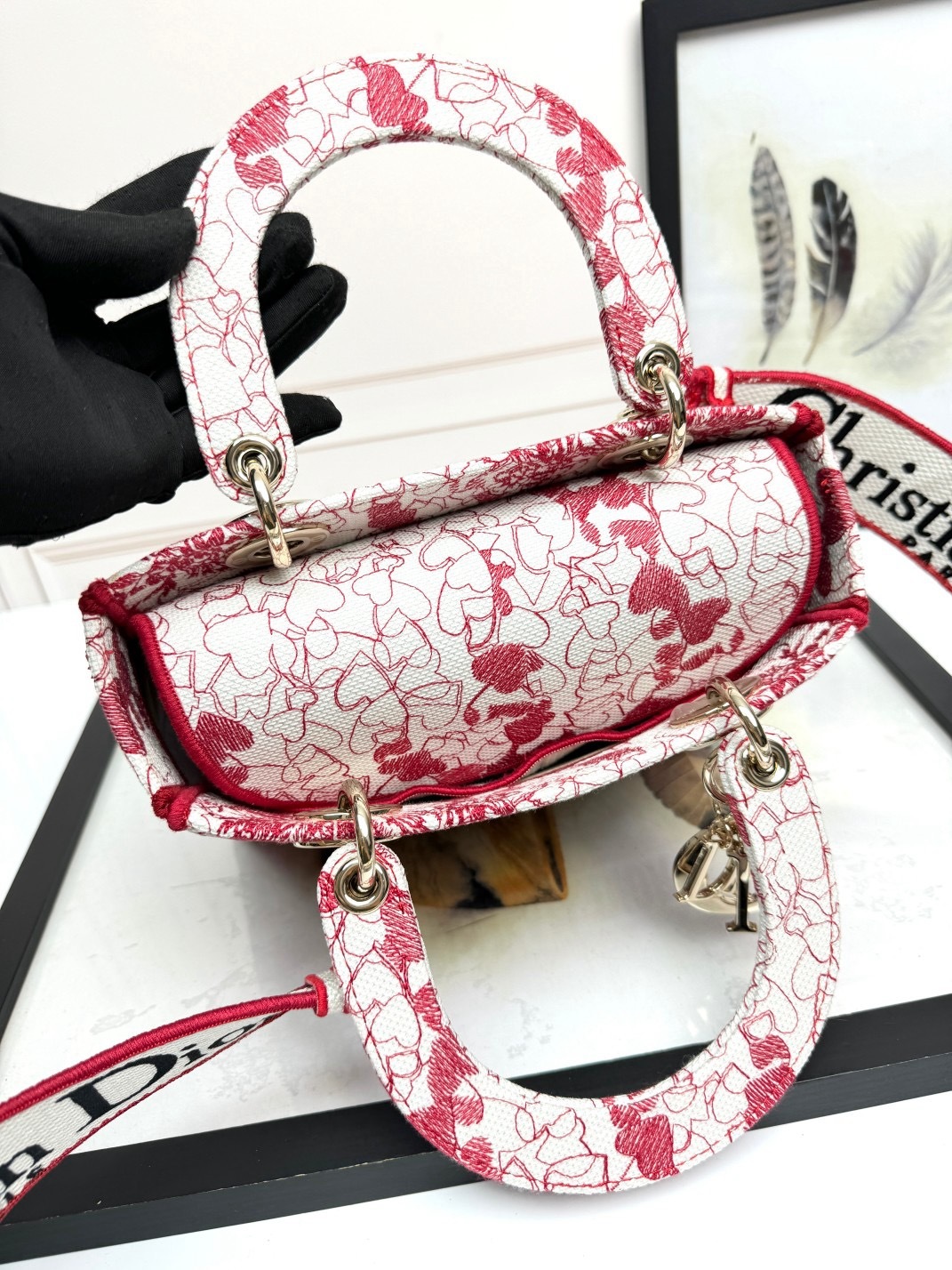 Christian Dior Medium Lady Dior Bag